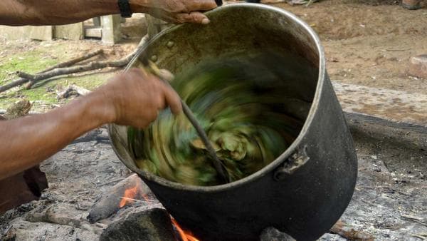 Regular la cocaína: una apuesta desde los expresidentes de Colombia