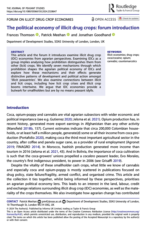 The political economy of illicit drug crops: forum introduction