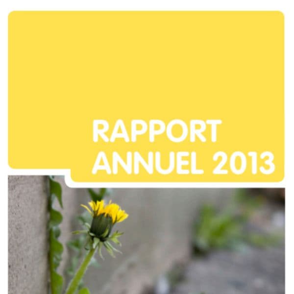 Rapport annuel du GREA