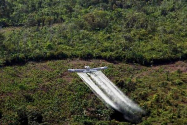 Drogas: una guerra que fracasó