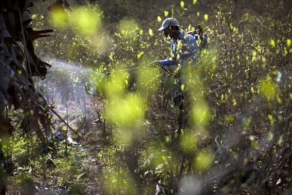 Promoviendo políticas de drogas basadas en derechos humanos para América Latina