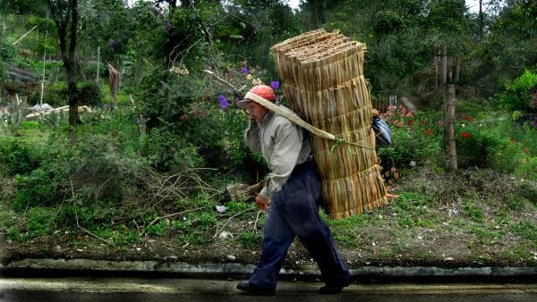 Colombia: Memorando al Gobierno Nacional sobre la nueva política de drogas