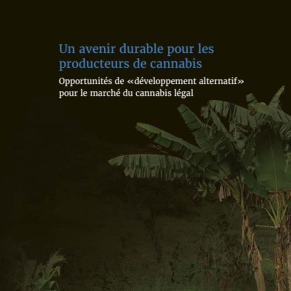 Un avenir durable pour les producteurs de cannabis: Opportunités de «développement alternatif» pour le marché du cannabis légal