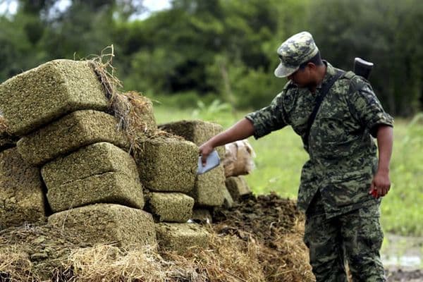 ONG piden ante la OEA respetar los derechos humanos